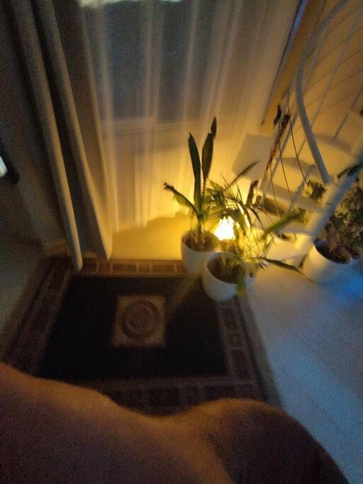 I Love Pesaro Apartment Bagian luar foto